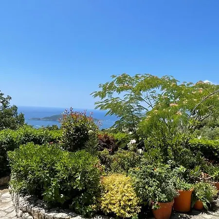 Mountains Near * Budva
